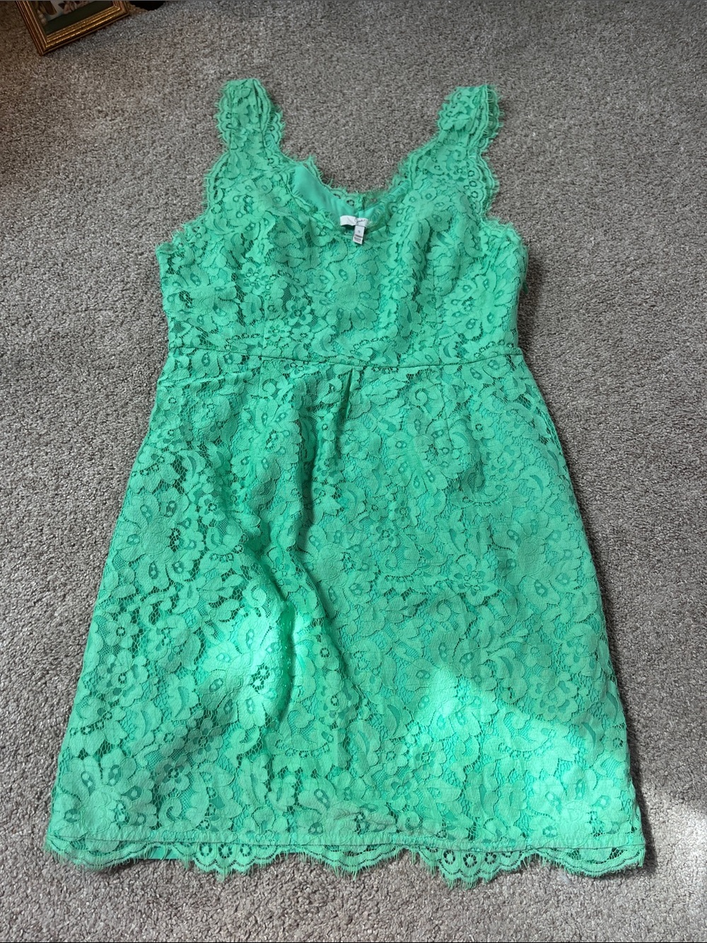 ☘️☘️☘️Joie szS Vibrant Pistachio Green Eyelash Lace Pleated Dress